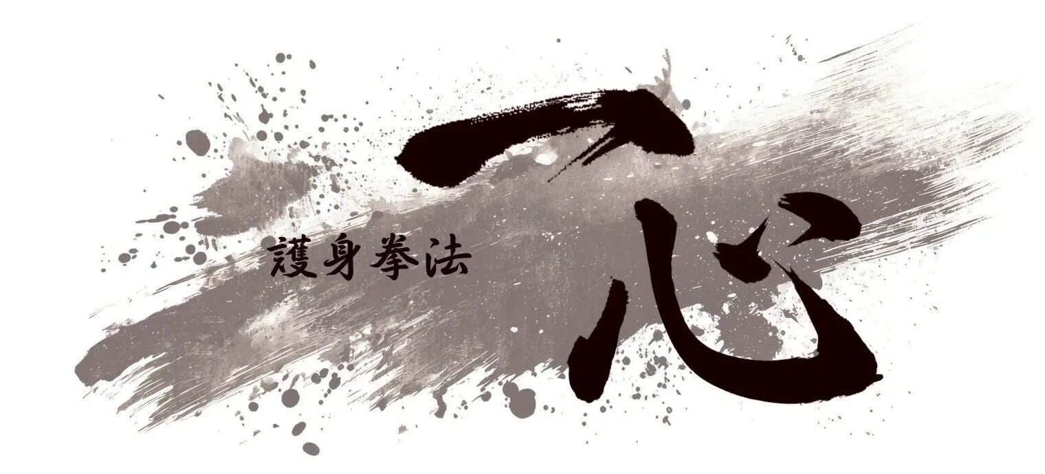 護身拳法 一心